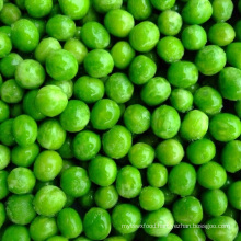 Organic IQF Frozen Vegetables Green Peas